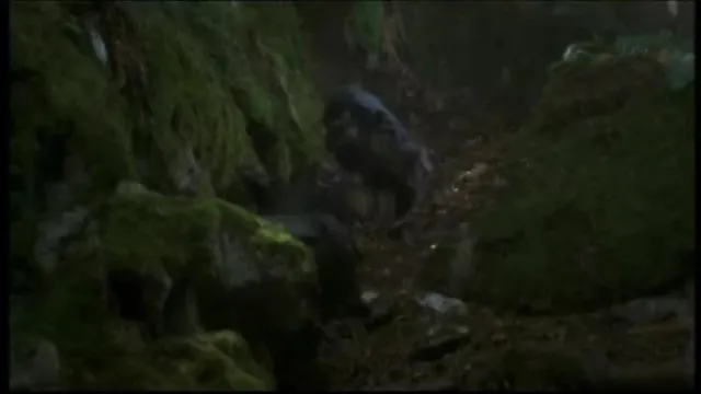 Кадры из сериала Мертвая зона (2002)
