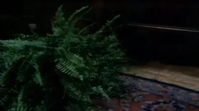 Кадры из сериала Сказки темной стороны (1983)